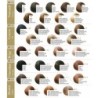ORO THERAPY COLORE - FANOLA
