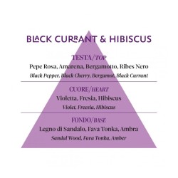 HAIR & BODY MIST BLACK CURRANT & HIBISCUS - PHC