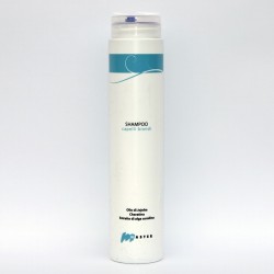 SHAMPOO CAPELLI BIONDI - MASTER