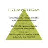 HAIR & BODY MIST LILY BLOSSOM & BAMBOO - PHC